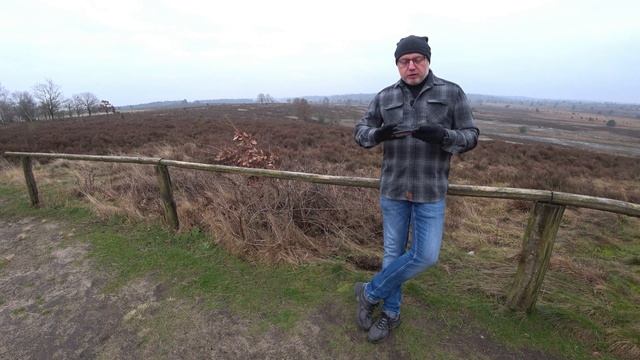"Дикарём" по Германии. Как правильно? смотреть онлайн