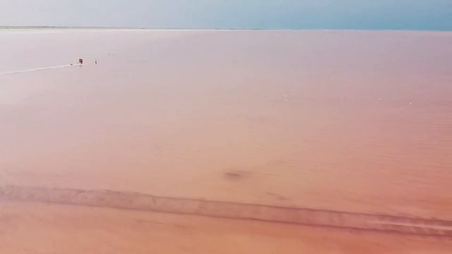 Алтай Яровое Розовое озеро