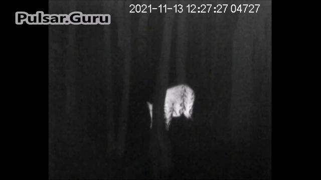 Как обхитрить секача смотреть онлайн