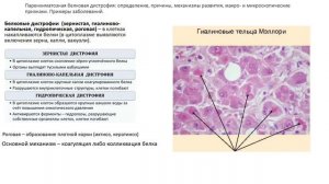 Патологическая анатомия | ПАРЕНХИМАТОЗНЫЕ ДИСТРОФИИ