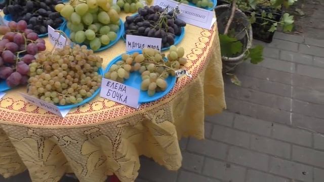 Выставка-ярмарка "Янтарная гроздь винограда-2018" .г. Пинск. смотреть онлайн