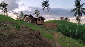 Как накормить семью на 2 доллара. Реконструкция водоснабжения от бати. Жизнь в деревне.