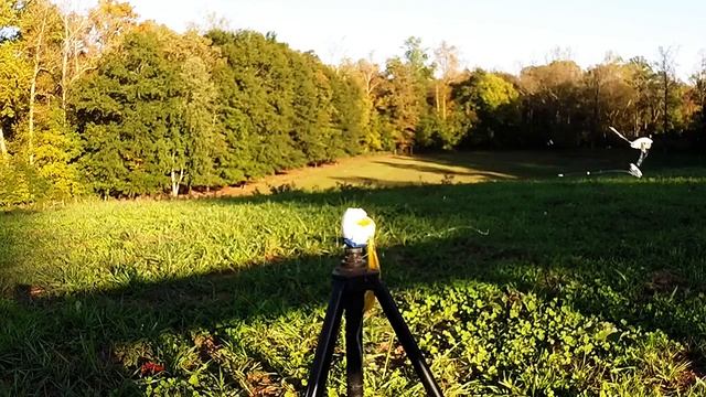 Stephens In-sight: Archery Eggsplosion! смотреть онлайн