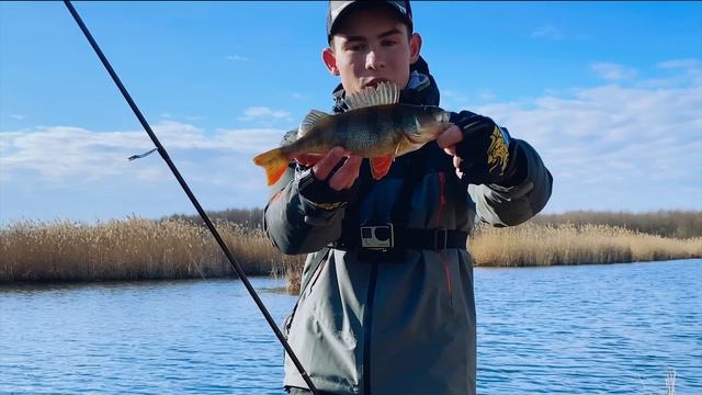 Рабочие приманки для ловли окуня весной. Favorite Team. смотреть онлайн