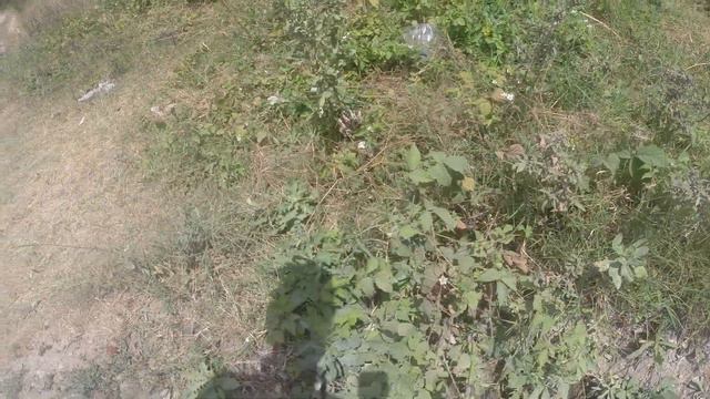 Воды в Крыму нет 3 смотреть онлайн