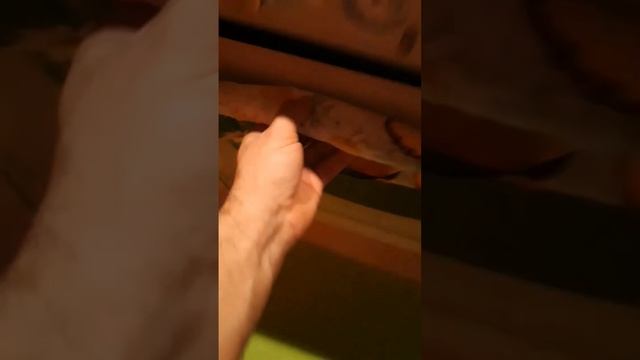 сосиски жареные Осьминоги смотреть онлайн