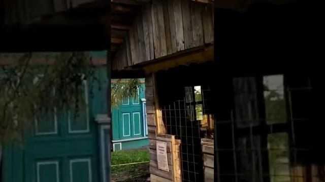 Деревянные церкви Руси. смотреть онлайн