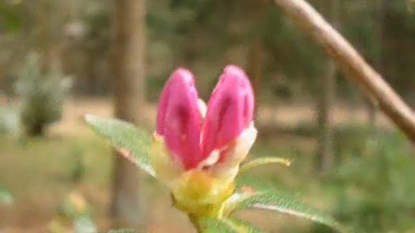 Spring is coming - Antje Husemann