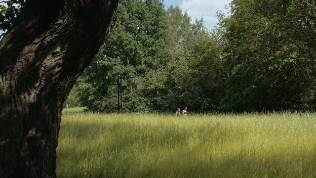 Holland park | Волоколамское 24 | Окружение | ПИК смотреть онлайн