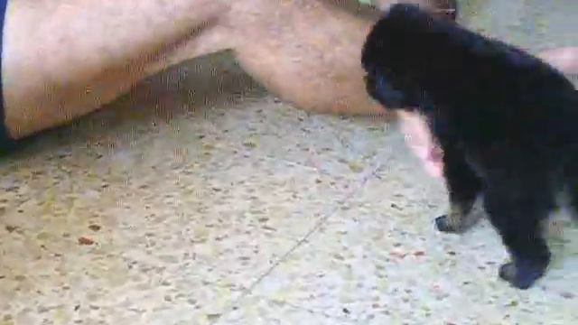 Чуня и Руслан смотреть онлайн