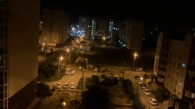 Собаки в Волжском смотреть онлайн