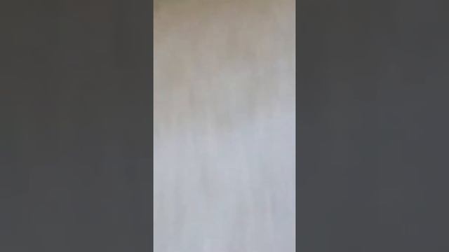 Домашний блеск