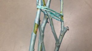 Розы из коробки Как правильно выбрать в магазине