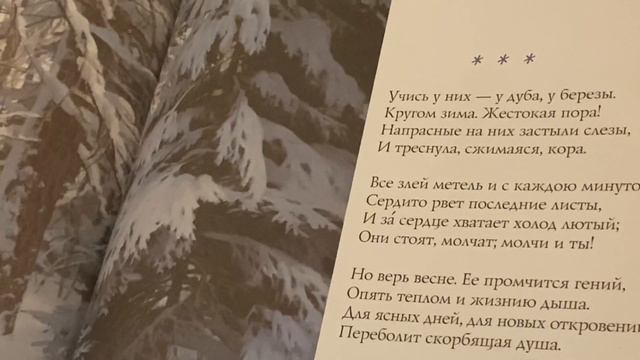 Учись у них, у дуба, у березы…