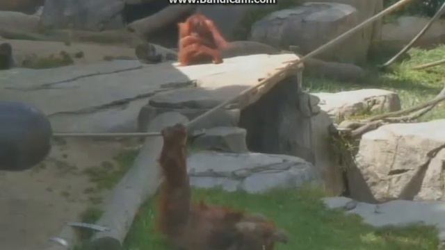 АИША И КАРЕН (08.04.2017 ) смотреть онлайн