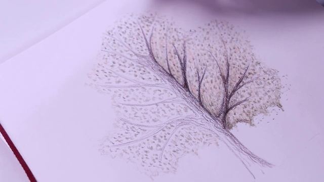 LEARNING COLORED PENCILS - 1 / Drawing a Tree with Derwent Drawing смотреть онлайн