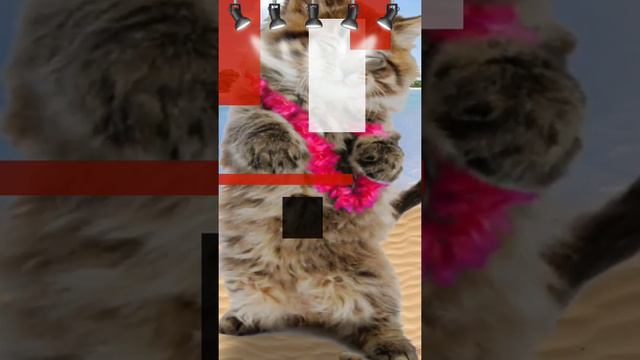Весёлые зверушки играют,пляшут и поют! # 1 смотреть онлайн