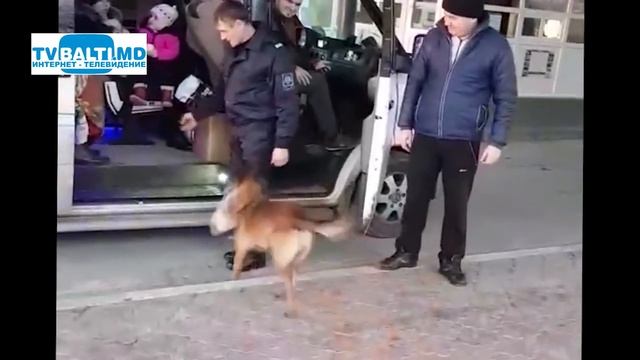 Радуются взрослые и дети 26 12 18 смотреть онлайн