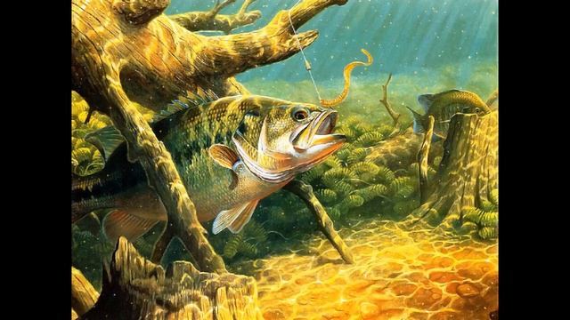 ПОПУГАИ vs РЫБАЛКА - подводная охота - ПРОГНОЗЫ НА КЛЕВ - спиннинг за 200000 рублей смотреть онлайн