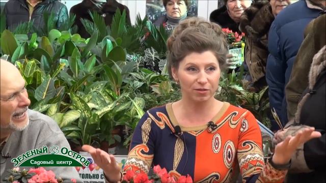 Розы. Передержка роз до пасадки весной. часть 2. Проснувшиеся саженцы роз, как сохранить. смотреть онлайн