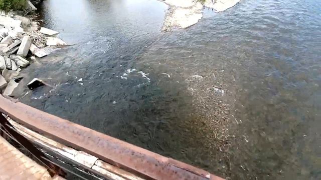 Силинка 31 май. Рыбалка на горной реке.