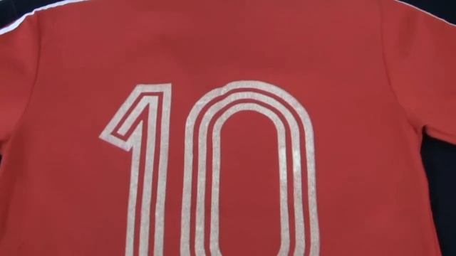 Pele Signed Team USA Game Jersey Back смотреть онлайн