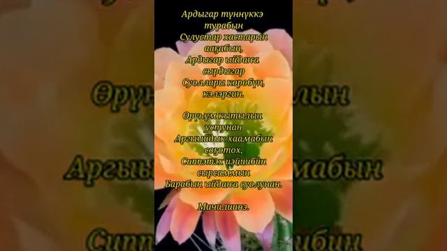 Анна Барашкова.... смотреть онлайн