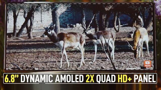 Samsung Galaxy S23 Ultra Unboxing & First Look - The Ultimate Champion??? смотреть онлайн