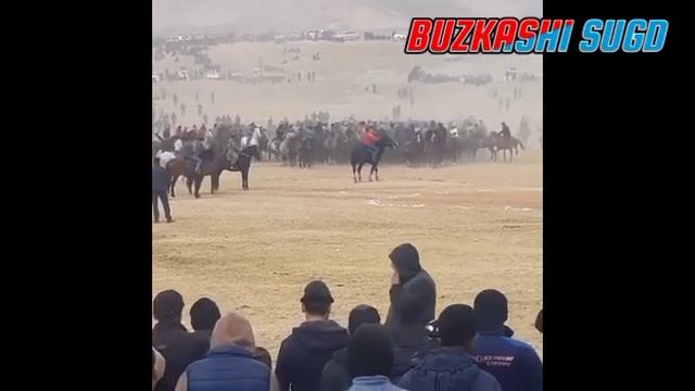 TOP -5 Марахои Афросиёб пахлавон Панчакент бузкаши 2023 Buzkashi Panjakent Бузкаши Сугд смотреть онлайн
