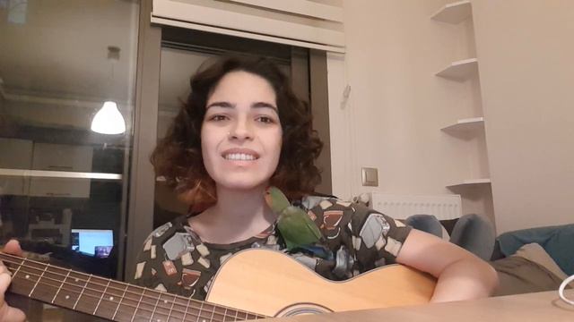 heart shaped box cover - parrot does the screams immaculately смотреть онлайн