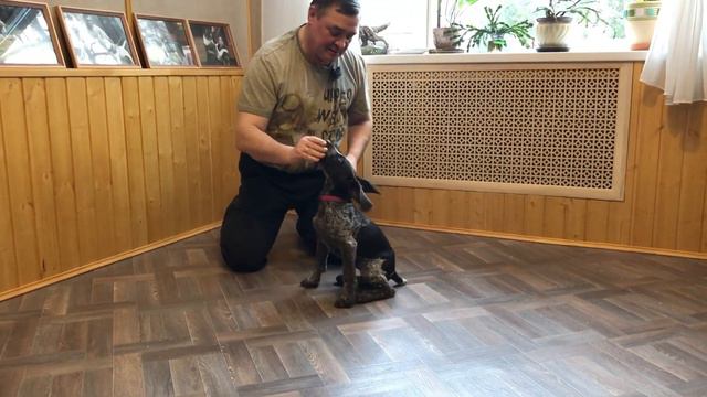 Занятие с Мартой смотреть онлайн