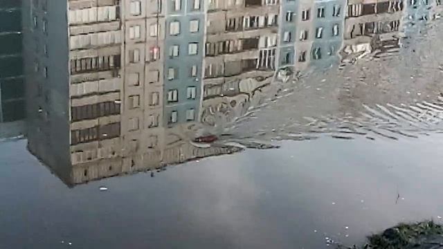 Ондатра. Река Аба. Новокузнецк смотреть онлайн
