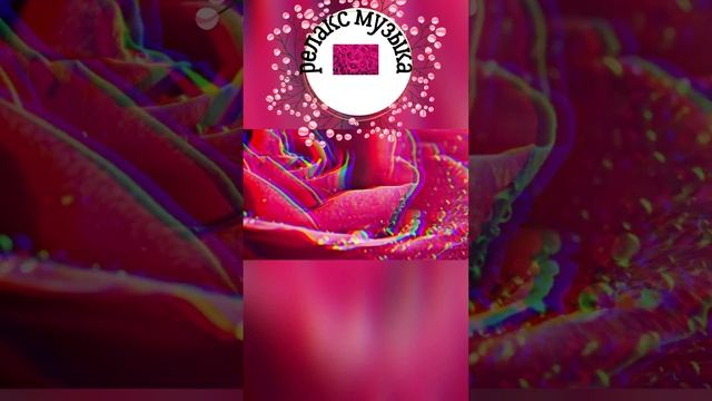 #Shorts41. МУЗЫКАЛЬНЫЙ ВЗРЫВ ДОЖДЯ | НАНДИ И БАСМАКИ | relax смотреть онлайн