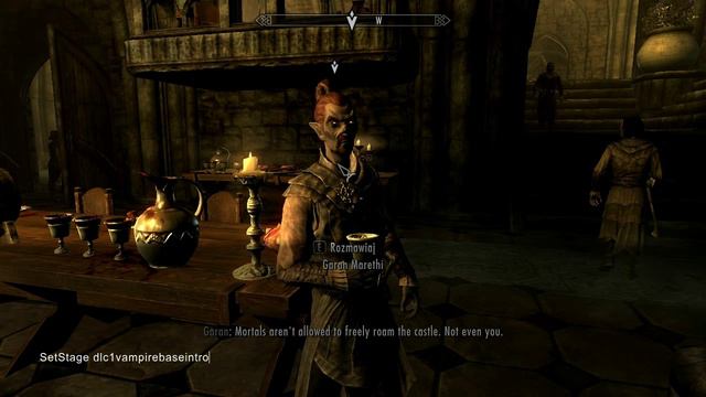 Skyrim the bloodstone chalice bug FIX смотреть онлайн