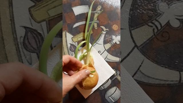 это - жизнь! смотреть онлайн
