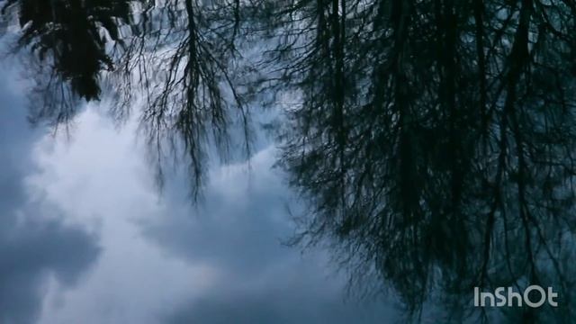 Стих "ЧЁТКИ" смотреть онлайн