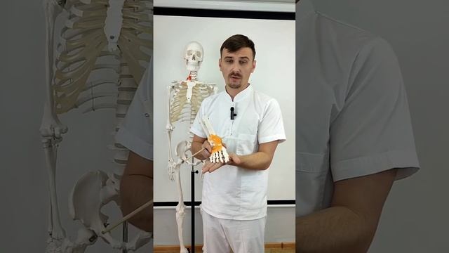 ЧТО БУДЕТ ЕСЛИ ХОДИТЬ БОСИКОМ #егормоскалев смотреть онлайн