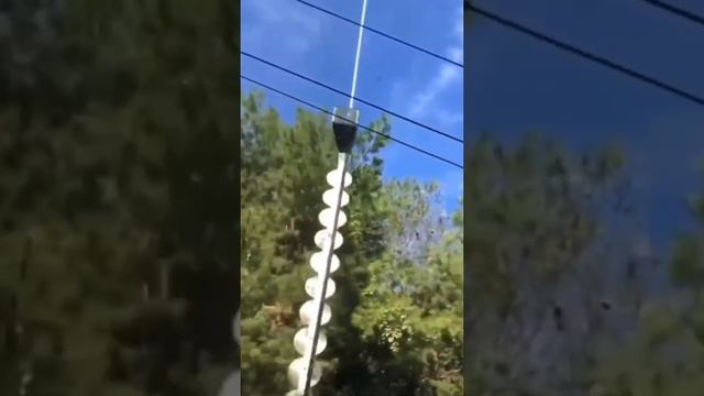 Как Быстро Почистить Деревья? #shorts смотреть онлайн