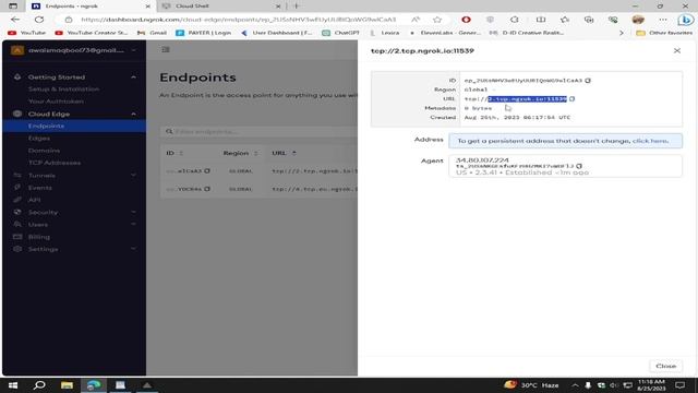 Tip to Get Free Google RDP using ngrok смотреть онлайн