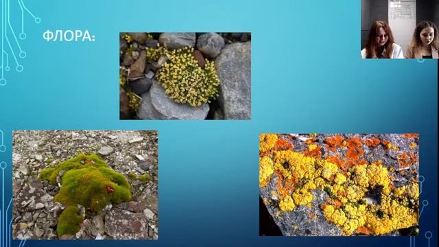 09.03.2022 15:00 7К География. Природа северных материков смотреть онлайн