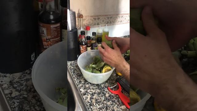 Секреты Профессионального Творца