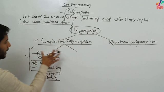 Polymorphism in OOP | Run Time Polymorphism | Compile Time Polymorphism | C++ Tutorial | In Hindi смотреть онлайн
