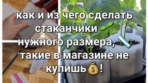 Как и из чего сделать стаканчики для рассады нужного размера.