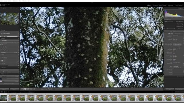 Lightroom Catalog v12 Adobe Photoshop Lightroom Classic Library 2023 03 19 20 24 24 смотреть онлайн