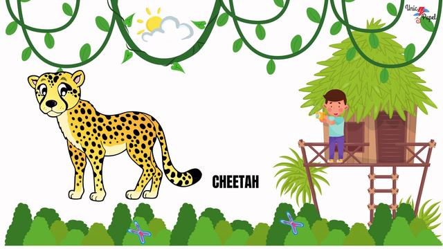 Wild Animals | Educational Video | Animals For Kids | Wild Animal Photoshoot |Wild Animal Awareness