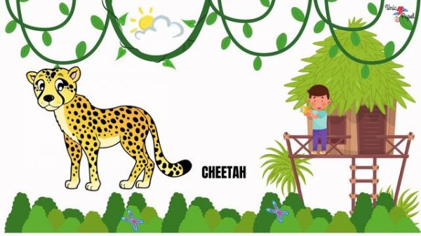 Wild Animals | Educational video | Animals for kids | Wild Animal photoshoot |Wild animal awareness