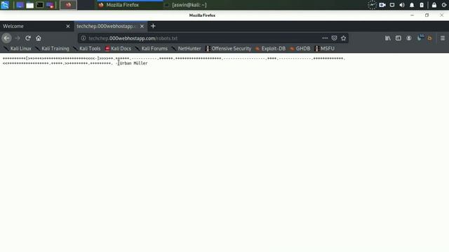 robots.txt files | CTF | WEB APPLICATION | CRYPTOGRAPHY | смотреть онлайн