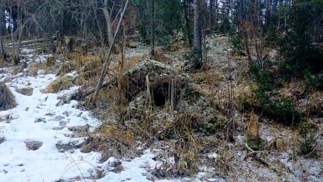 Красивое место в окрестностях Риддера, и снова минус граната! ВКО Риддер смотреть онлайн