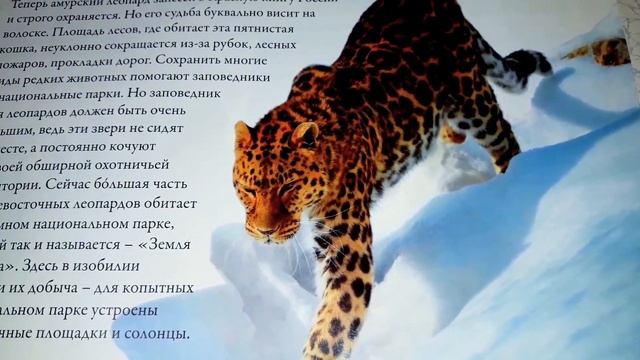 Моя страна Собери Карту России от Hachette Выпуск № 68/ My country Collect the Map of Russia смотреть онлайн