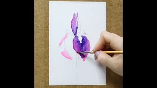 Что нарисовать? Ирис. 47 секунд. смотреть онлайн